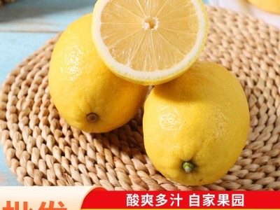 批发现货速发四川安岳产黄柠檬奶茶店商用果皮薄汁多当季产大果图2