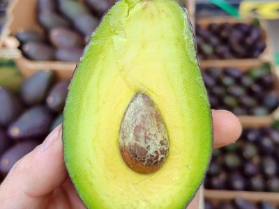 广州批发进口牛油果即食熟果智利墨西哥秘鲁鲜鳄梨商用整箱批发图2