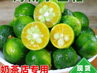 海南小金桔整箱批发新鲜水果当应季青金桔柠檬整箱包邮小青柠青桔图3