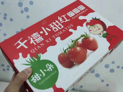 电白圣女果釜山千禧小番茄新鲜小番茄小西红柿新鲜圣女果图4