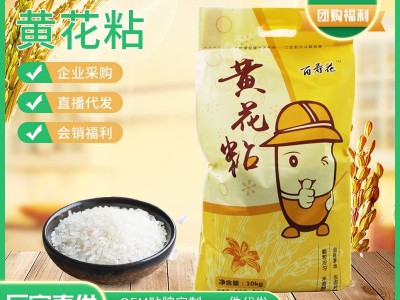百寿花黄花粘米10kg新米当季晚稻20斤装农家大米籼米煲仔饭粘米图3