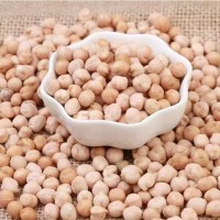 小鹰嘴豆印度大鹰嘴豆天麻子鸡心豆 小鹰嘴豆