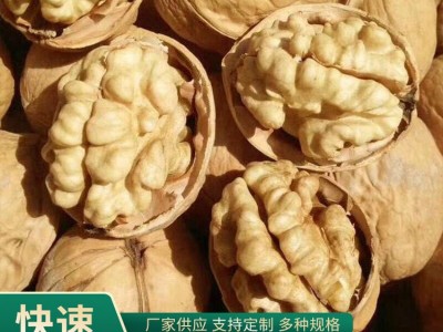 厂家批发 185核桃特产纸皮核桃原味桃仁饱满支持散装/袋装图2