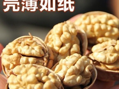 现货新疆185纸皮核桃批发500g 薄皮手剥阿克苏大核桃纸皮生核桃图5