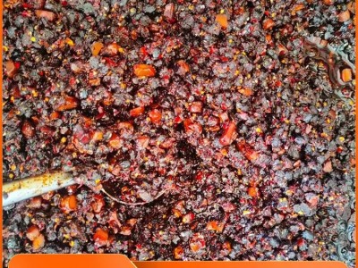 原味豆鼓农家自制 特产原味豆食香菜调料辣椒酱 君华隆图2