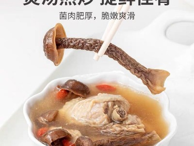 鹿茸菇脆脆菇干货批发鹿茸菌云南特级非野生干姑产煲汤500g蘑菇香图1