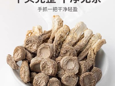 鹿茸菇脆脆菇干货批发鹿茸菌云南特级非野生干姑产煲汤500g蘑菇香图3
