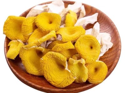 云南鸡油菌香菇土特产干货菌类菇类煲汤新鲜鸡枞菌子榆黄菇丝图5