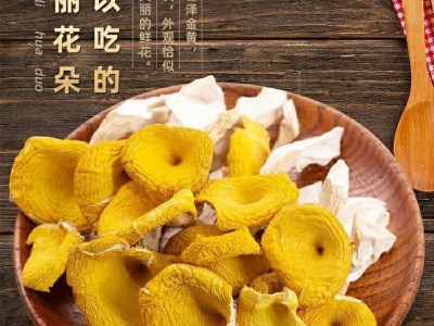 云南鸡油菌香菇土特产干货菌类菇类煲汤新鲜鸡枞菌子榆黄菇丝图2