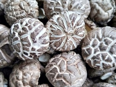 新货剪脚 花菇 原产地货源充足土特产 干货 香菇 大春栽 花菇图3