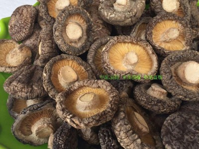 新货 大香菇 剪脚土特产农家 金钱菇 干货一手货源大量批发 香菇图2