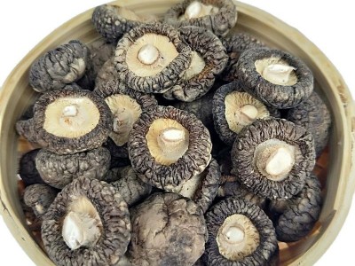 新货 大香菇 剪脚土特产农家 金钱菇 干货一手货源大量批发 香菇图1