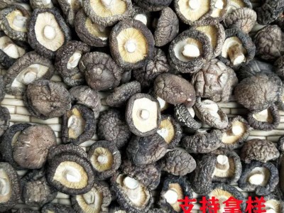 香菇 干货产地批发剪根肉厚商用农家土特产 金钱菇 春栽 香菇图1