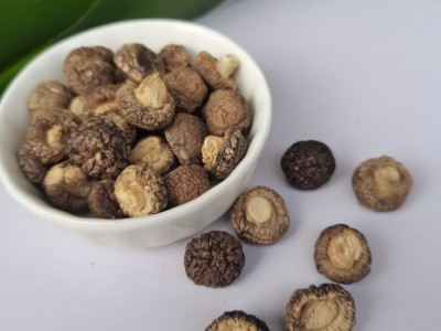 香菇 干货产地批发剪根肉厚商用农家土特产 金钱菇 春栽 香菇图4