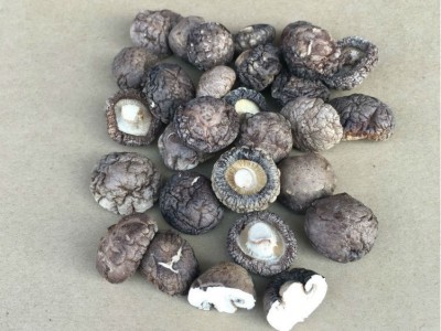 金钱小香菇根短肉厚产地直批冬菇500g散装批发香菇干香菇香菇干图2