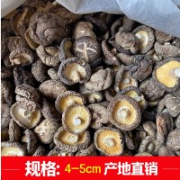 新货西峡香菇干货500g饭店餐饮散装批发无根冬菇黄焖鸡香信香菇干