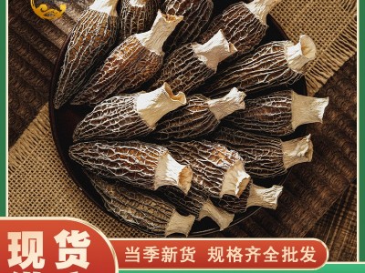 2024新货羊肚菌云南原产头茬山珍菌菇现货直批食用菌袋装羊肚菌干图3