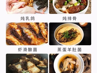 羊肚菌干货云南特产煲汤食材源头工厂50克头茬5-7散装批发代发图4