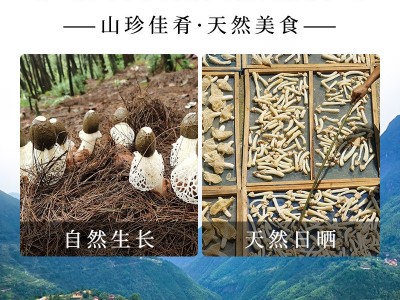 竹荪干货精选竹荪煲汤云南特产源头工厂新货批发散装一件代发图3