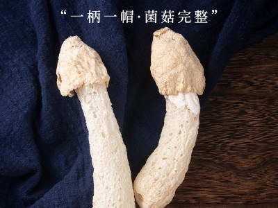 竹荪干货精选竹荪煲汤云南特产源头工厂新货批发散装一件代发图2