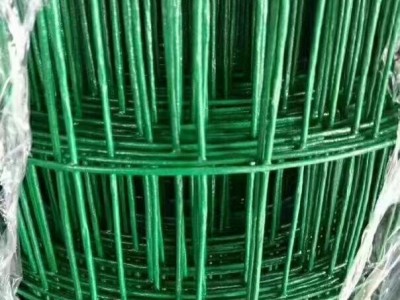荷兰网圈地养殖平纹编织护栏网 果园绿色隔离网厂家直供图2