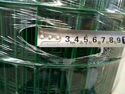 荷兰网圈地养殖平纹编织护栏网 果园绿色隔离网厂家直供图5