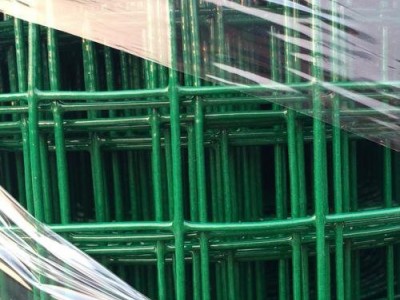家用硬塑荷兰网现货 圈山地鸡鸭羊防护网 养殖果园菜地鱼塘围网厂家图4