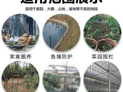 硬塑铁丝养殖网 户外养鸡圈地荷兰网 菜园果园鱼塘防护网图4