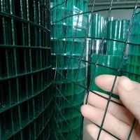 硬塑铁丝养殖网 户外养鸡圈地荷兰网 菜园果园鱼塘防护网