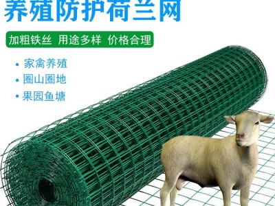硬塑铁丝养殖网 户外养鸡圈地荷兰网 菜园果园鱼塘防护网图5