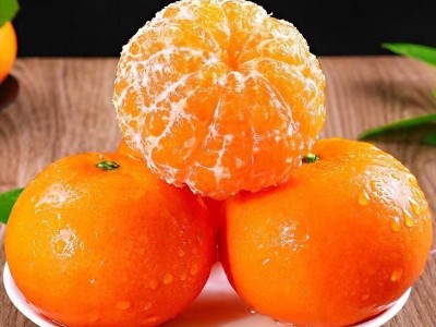 正宗广西沃柑超甜多汁橘子当季新鲜水果批发薄皮桔子现摘现发甜柑图4