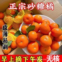 一件代发正宗广西砂糖橘9皮薄小橘子蜜甜多汁砂糖桔新鲜水果批发