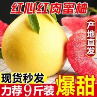 正宗广西容县三红蜜柚红心柚子薄皮香甜多汁柚子新鲜红蜜柚沙田柚