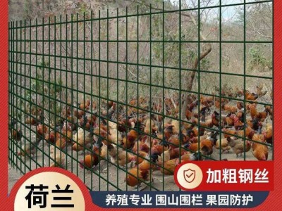 养鸡鸭护栏围栏 菜园养殖场防护网 铁丝网围墙图2