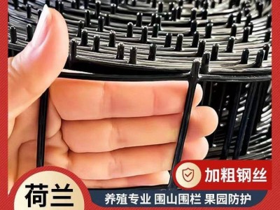 养鸡鸭护栏围栏 菜园养殖场防护网 铁丝网围墙图5