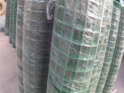 铁丝护栏网 鸡鸭鹅养殖网 圈地荷兰网图4