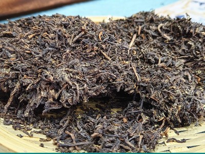 广西黑茶梧州金花六堡茶米香陈年老茶特产陈香500g茶厂家批发茶叶图3