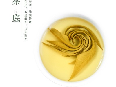 茉莉女儿环茉莉花茶新茶广西横县浓香型茉莉绿茶散装厂家批发茶叶图4
