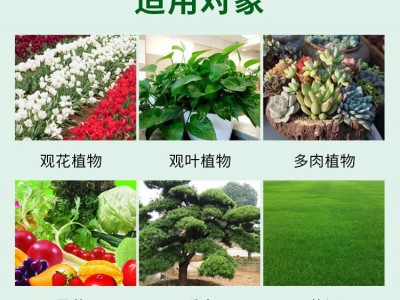 国光50%多菌灵稻瘟病纹枯病赤霉病倒秧病叶斑病杀菌剂通用图4