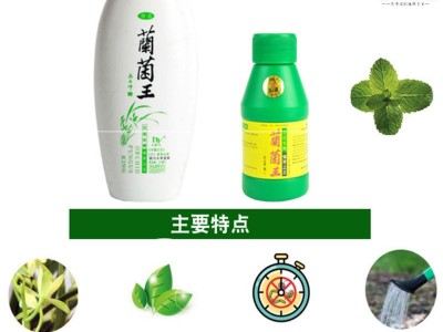 兰花专用营养液通用型兰菌王促进壮苗开花生根催芽有机液体肥料图2