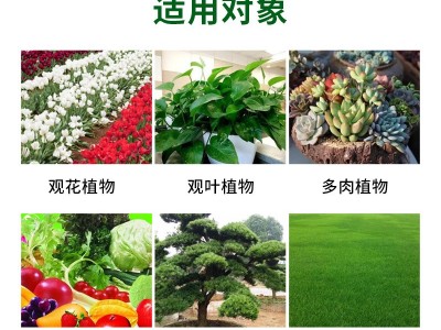 国光多菌灵花卉果蔬月季黑斑病倒秧病杀菌剂多肉绿萝发财树杀菌剂图4