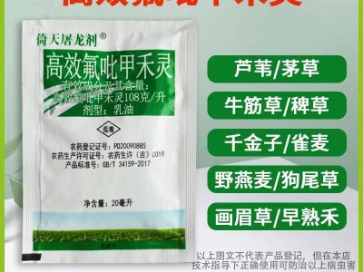 高效氟吡甲禾灵108克/升大豆田禾本科芦苇草茅草牛筋草尖叶除草剂图3