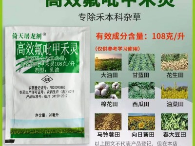 高效氟吡甲禾灵108克/升大豆田禾本科芦苇草茅草牛筋草尖叶除草剂图2