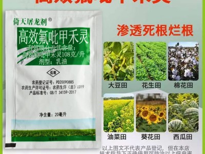 高效氟吡甲禾灵108克/升大豆田禾本科芦苇草茅草牛筋草尖叶除草剂图4
