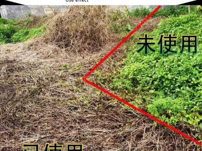 【10斤】玄火11%精草铵膦铵盐5公斤柑橘园果园杂草强 力除草剂图5