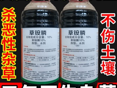 美国进口杂草克星草安草铵磷草胺磷除牛筋草小飞蓬农药强力除草剂图4