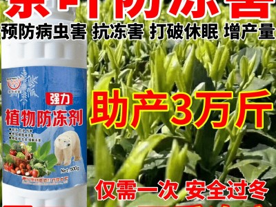 茶叶防冻害物防冻剂抗寒抗冻果树蔬菜大棚抗冻剂防倒春寒防霜冻植图5
