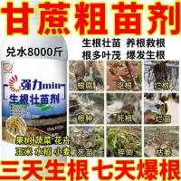 甘蔗进口生根粉生根壮苗剂速效生根液大树移栽植苗木扦插月季果树