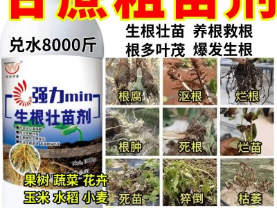 甘蔗进口生根粉生根壮苗剂速效生根液大树移栽植苗木扦插月季果树图3