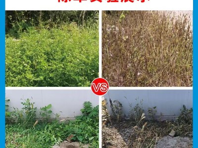 源头工厂现货批发玄锄农达农作物除草剂量大从优图4